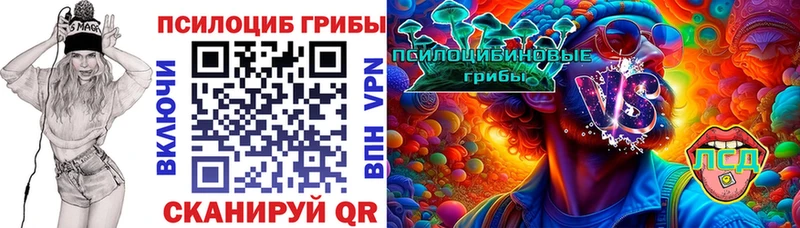 Купить закладки  Коряжма  Галлюциногенные грибы прущие грибы 